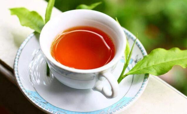 茶叶的抗过敏功效与机理（茶叶有抗过敏功效吗）